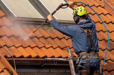 Démoussage et hydrofuge de toiture à Pallegney